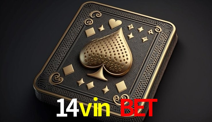 Bonus Features 14vin bet