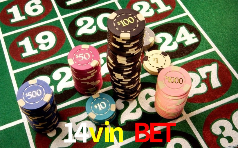 Experiência VIP 14vin bet