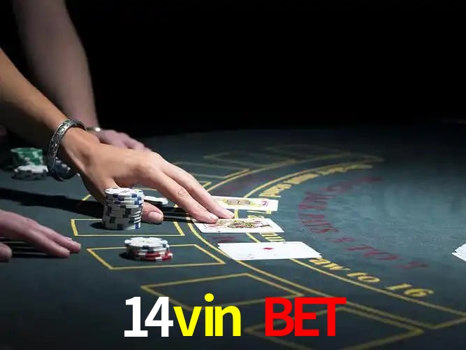 Security Systems 14vin bet