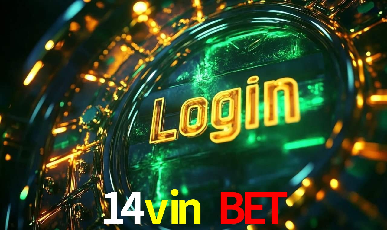 14vin bet App Interface
