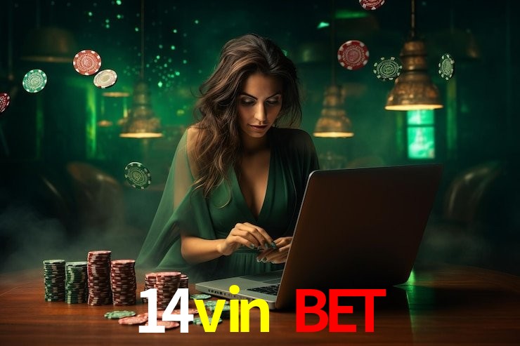 Premium Interface 14vin bet